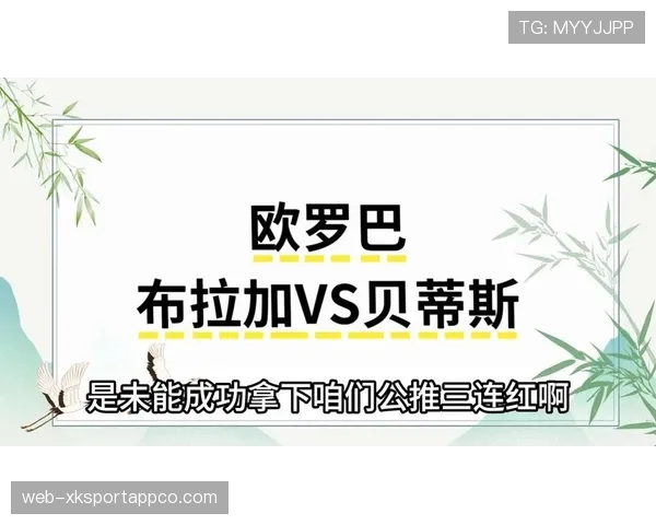 新西兰队冲击2026美加墨世界杯前景分析：能否时隔16年重返决赛圈